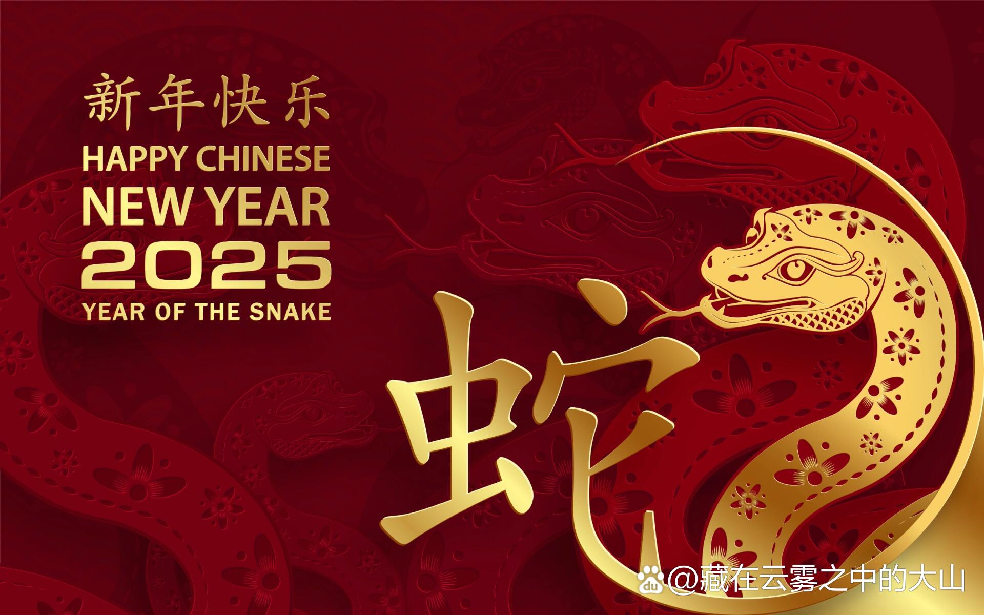 【万相之王】第1497章 天龙篆